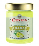 170202_ Ananas 300 g